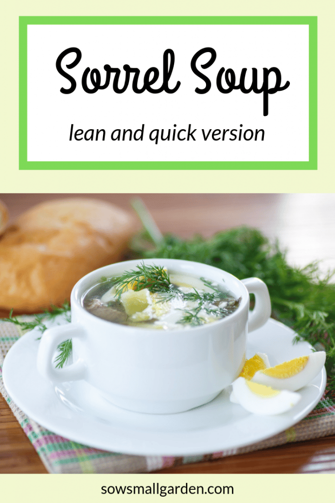 Sorrel soup