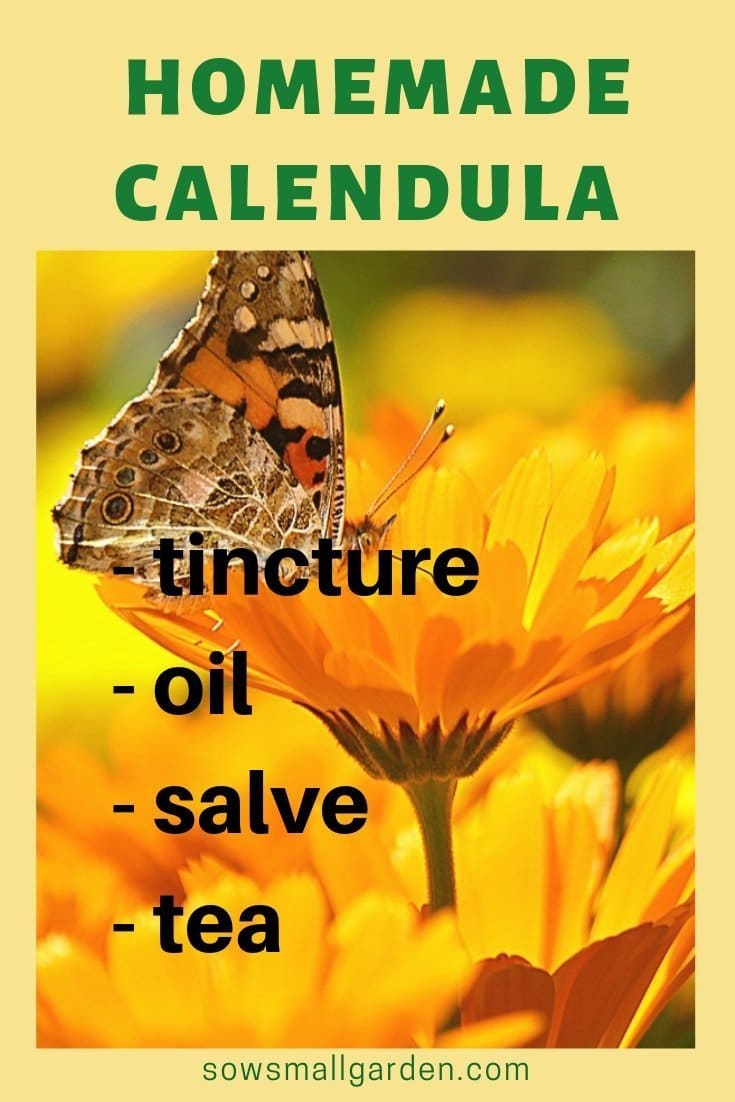 calendula healing properties