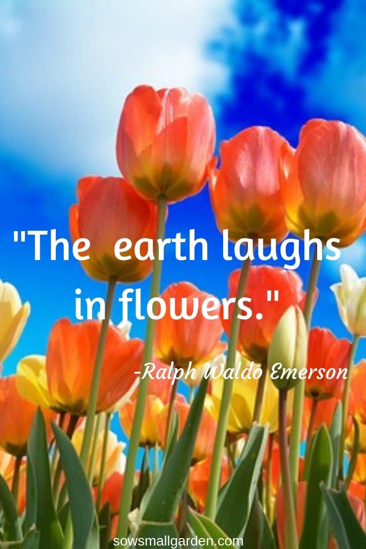 nature and garden quotes