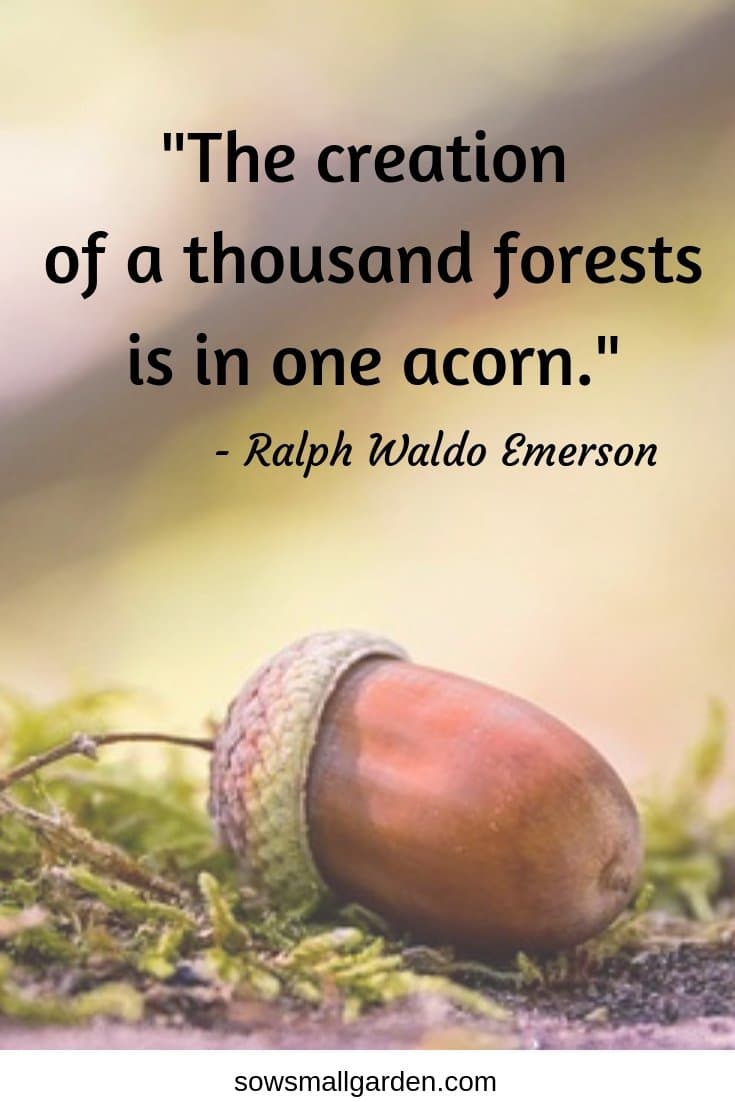 nature quotes