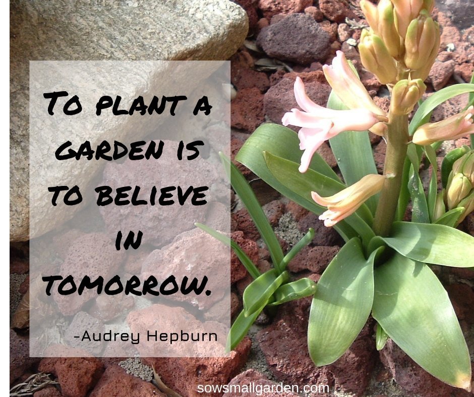 Quote about planting a garden