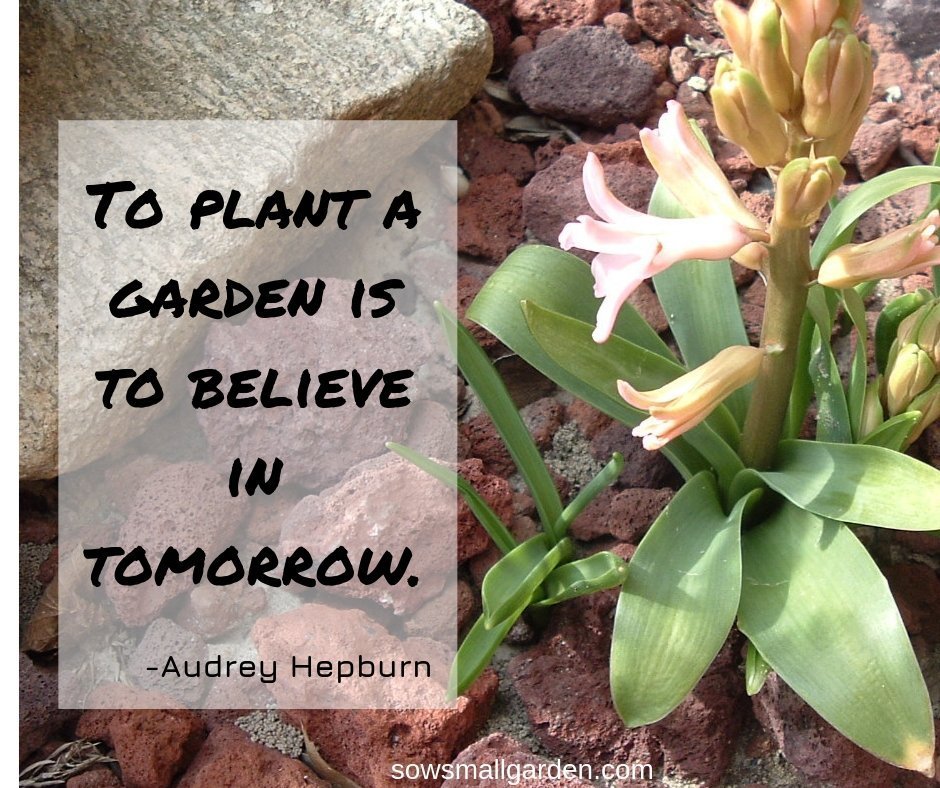 Best Garden Quotes (60 quotes) • Sow Small Garden