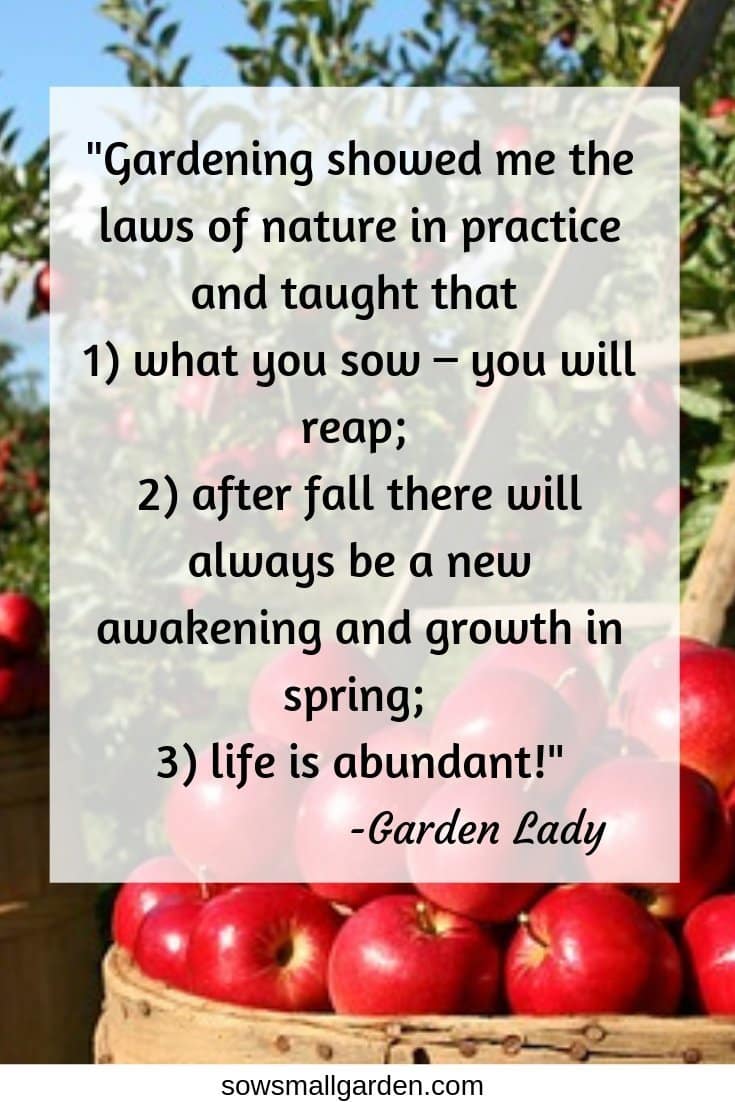 Best Garden Quotes 60 Quotes Sow Small Garden