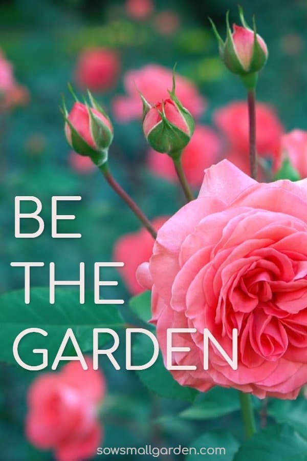 Best Garden Quotes 60 Quotes Sow Small Garden