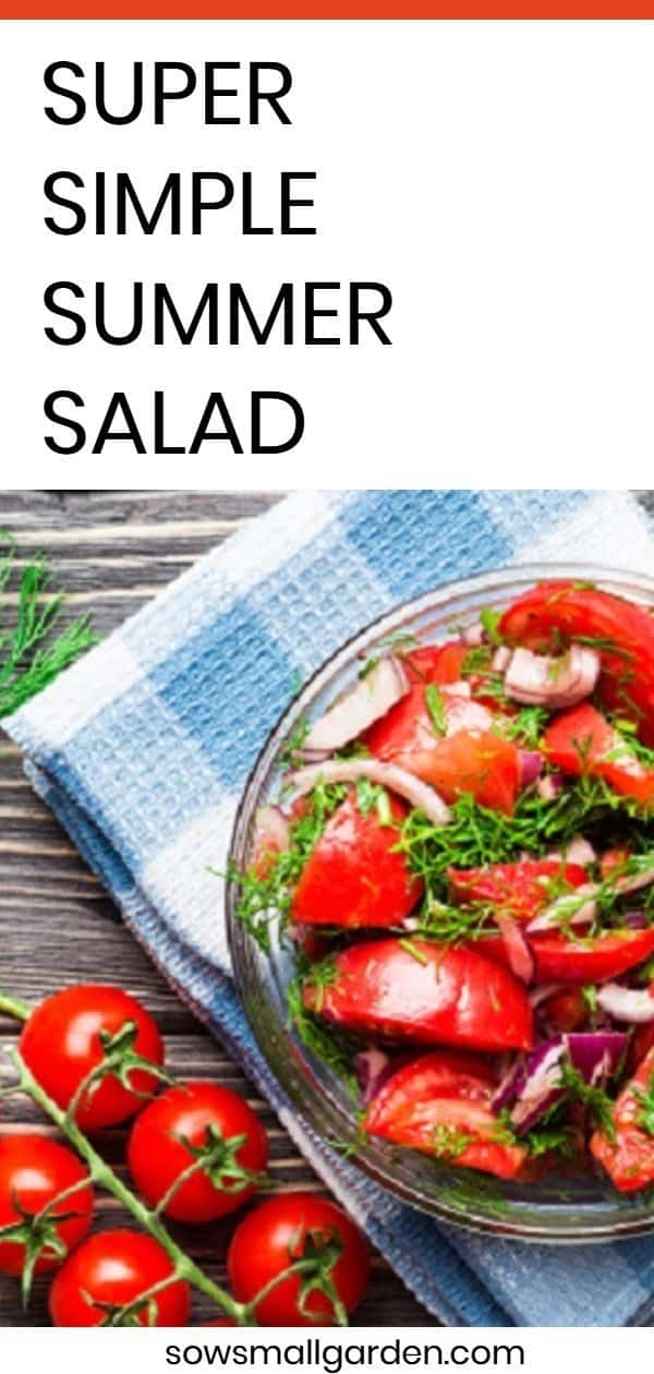 Summer Salad - quick and simple