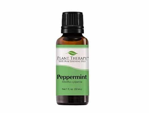 peppermint essential oil - effective pesticide