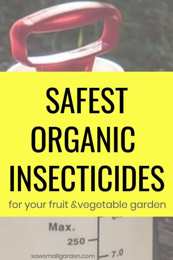 Organic Pesticides Which One To Choose Sow Small Garden