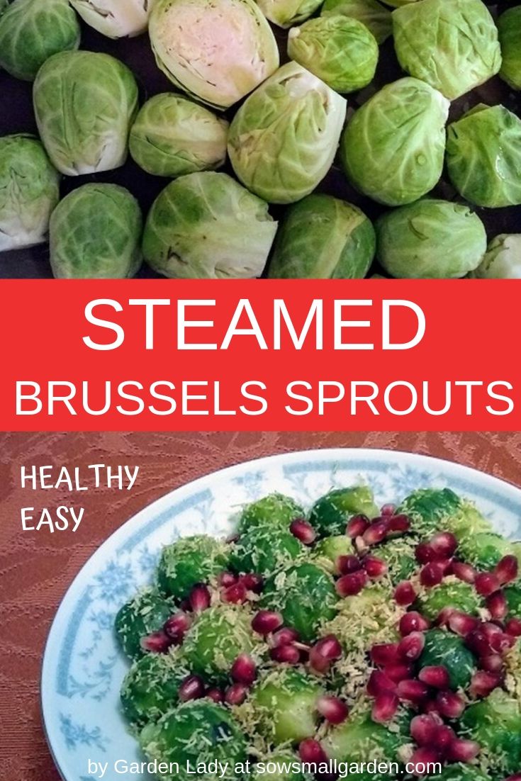 Steamed Brussels Sprouts