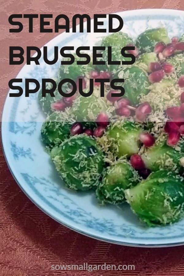steamed Brussel sprouts