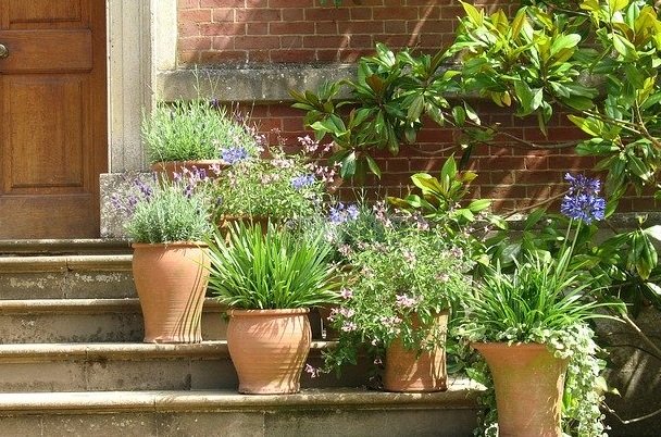 decorating entryway with potted plants