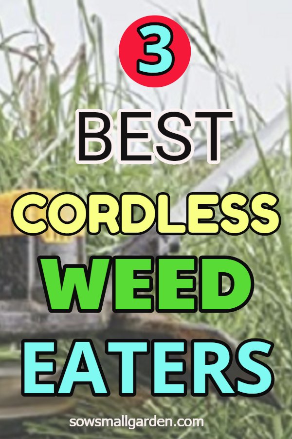 best cordless weed eaters