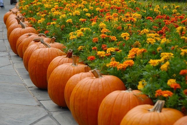 fall decor ideas: pumpkins and marigolds