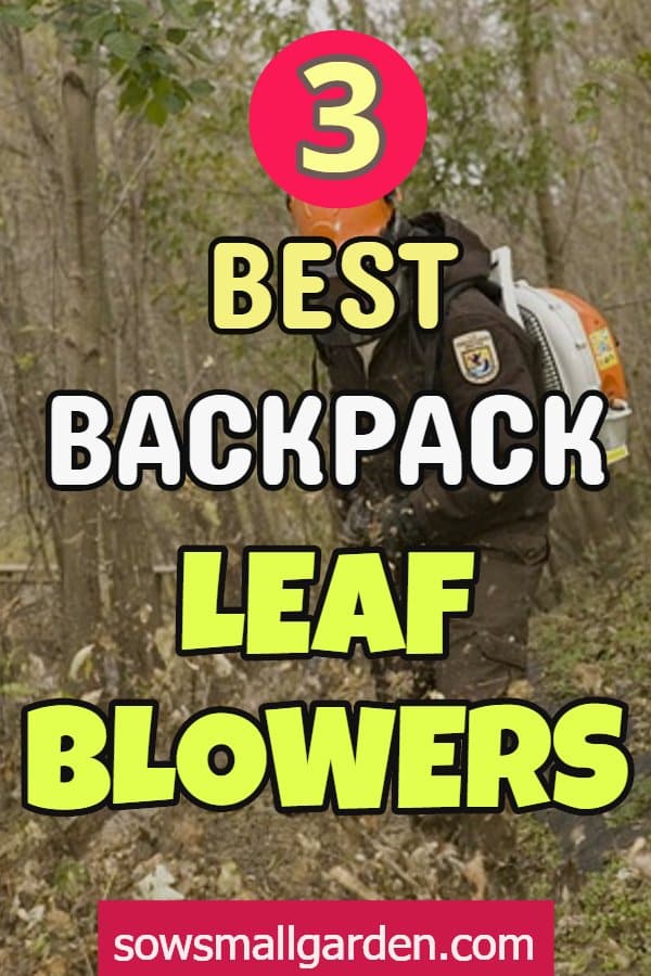 best backpack leaf blower
