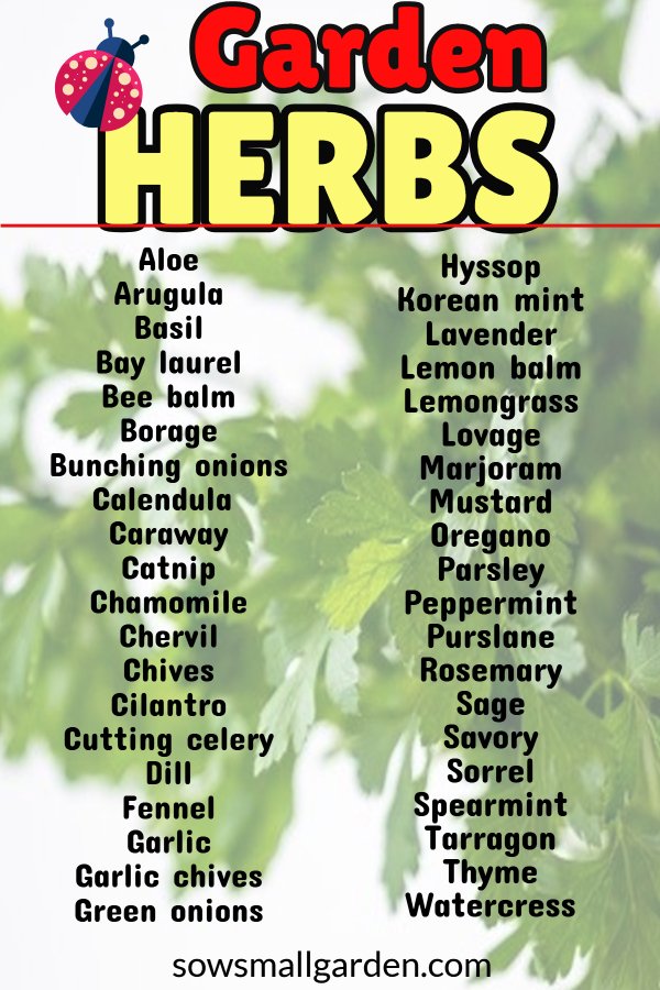 Garden Herbs List Types Of Herbs To Grow In Your Garden Sow Small Garden