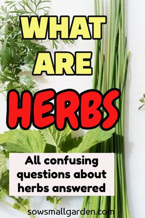 what are herbs