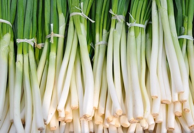 how long do green onions last