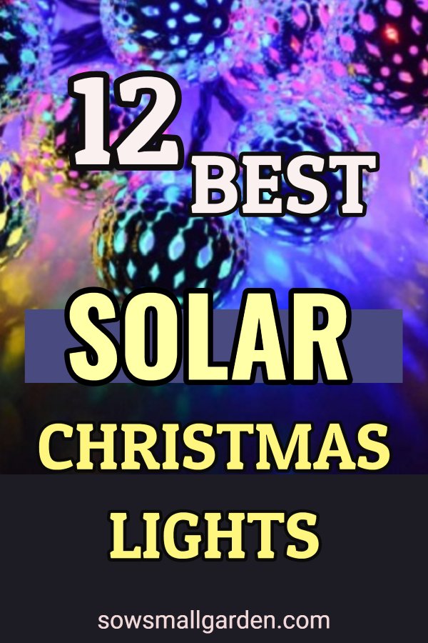 Solar Christmas lights