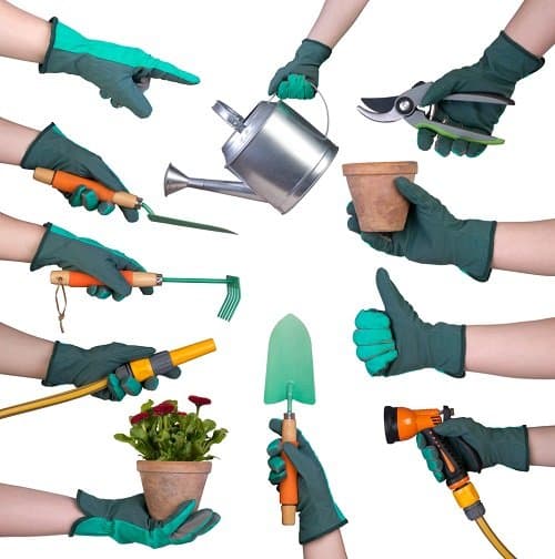 best gardening products reviews