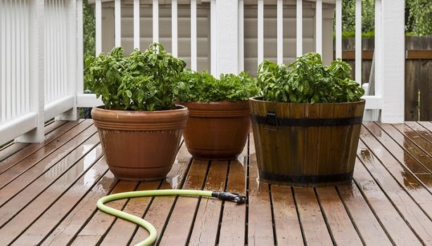 What’s the Best Garden Hose Storage? (All You Need to Know)