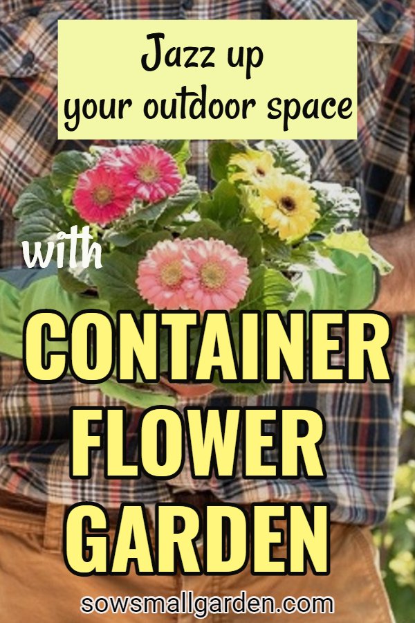 container flower gardening - 15 useful tips