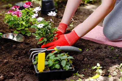 gardening is comfortable with a garden kneeling pad