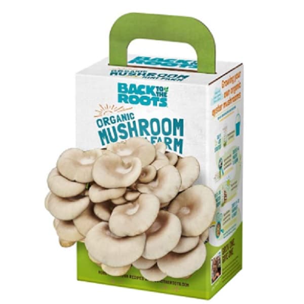 cool gifts for gardeners - organic grow mushroom kit