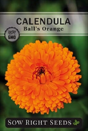 calendula seeds - Ball's Orange