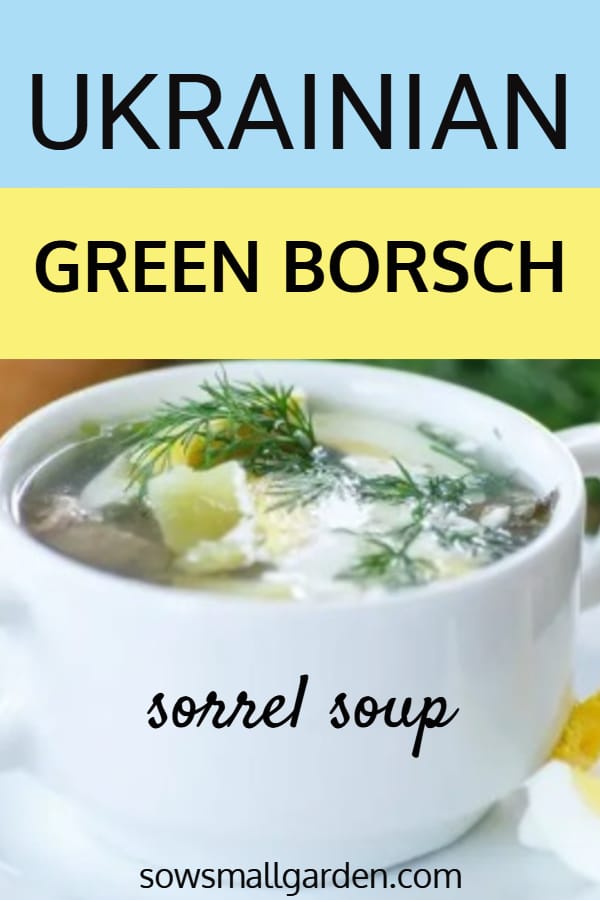 Ukrainian green borscht (sorrel soup)