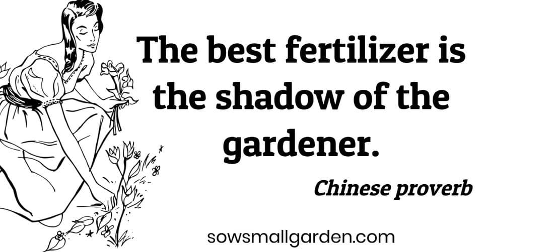 Chinese proverb about gardening