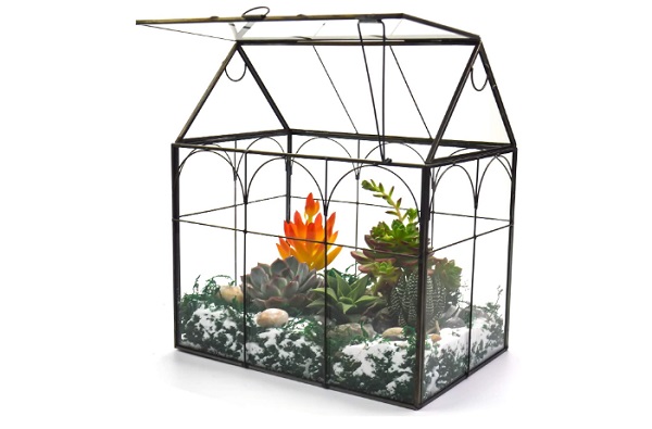 Glass terrarium Greenhouse with a lift off lid