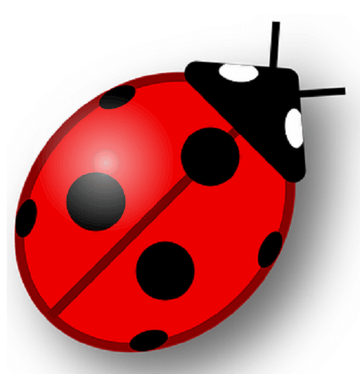 ladybug favicon