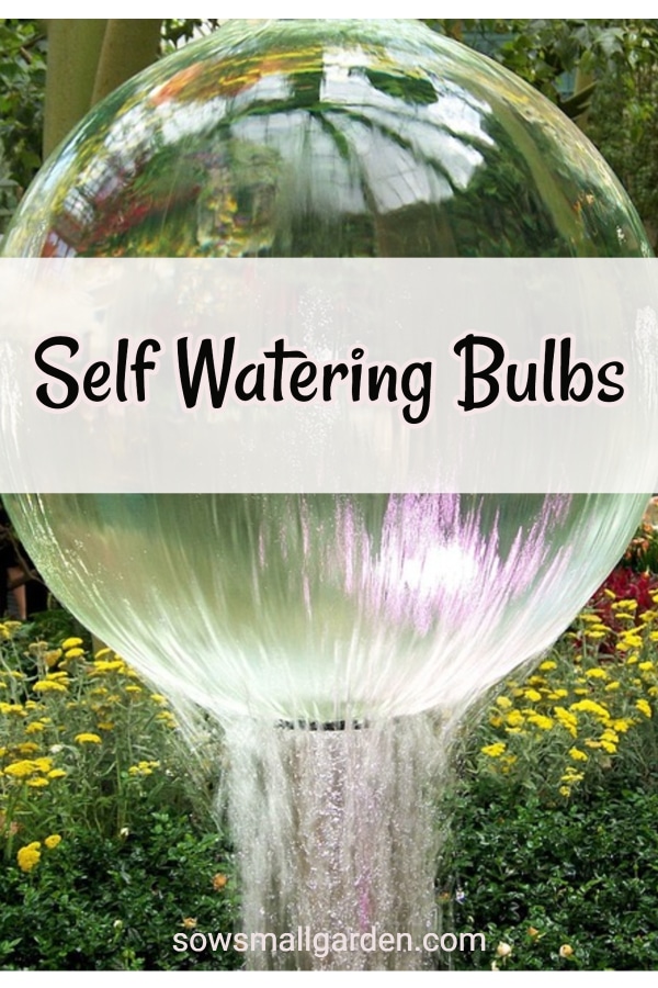 glass bulbs for watering plants