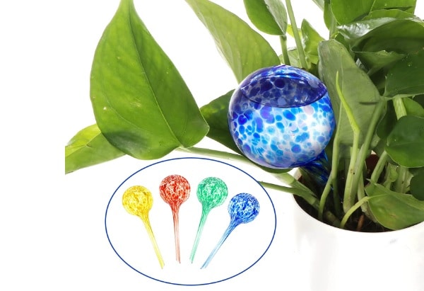 glass watering bulbs for plants medium size