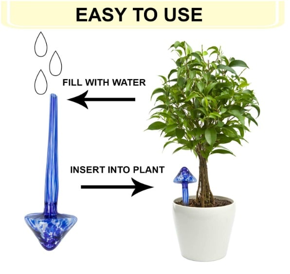 decorative watering bulb for plants: how to use