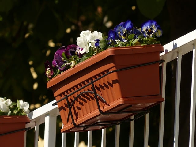container box with flowers on the patio railings