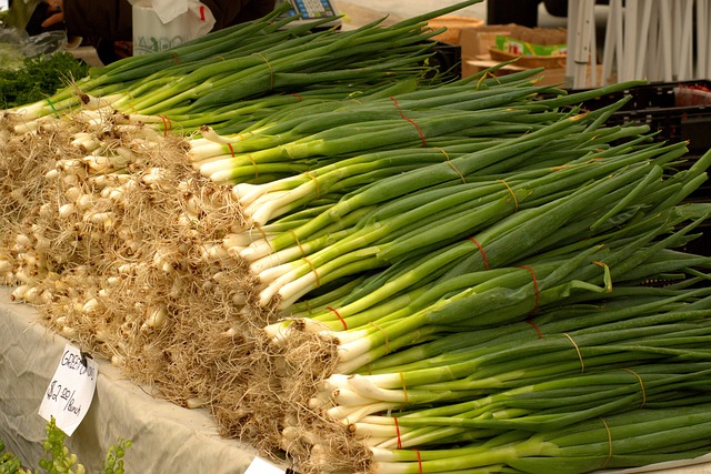 bunching onion - spring or long green onion