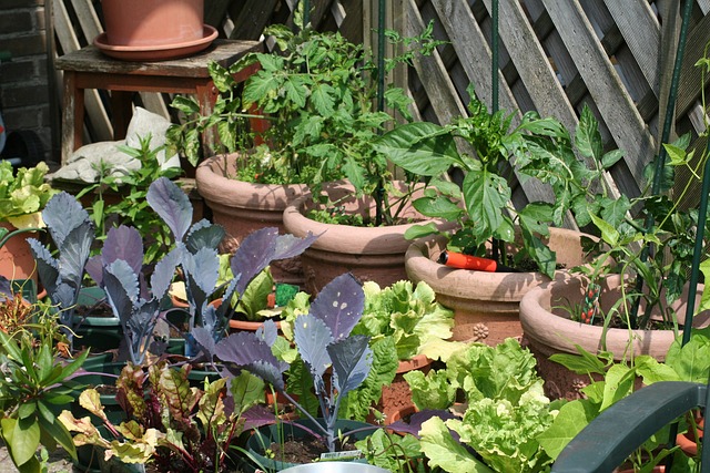 create container garden - small side yard idea
