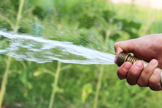watering with a hose, controlling water flow with  a thumb