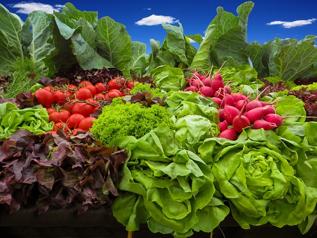 fastest growing spring vegetables