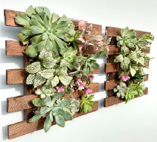 side yard ideas: living wall