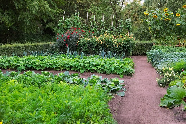 plant a vegetable garden if you have a large side yard
