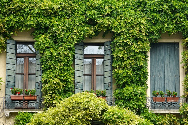 cover the side of the house with vines, plant low evergreen bushes under the window