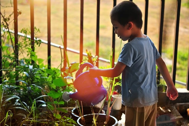 watering flowers in containers